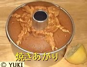 �摜