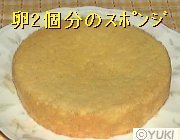 �摜