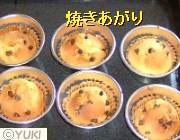 �摜