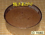 �摜
