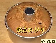 �摜