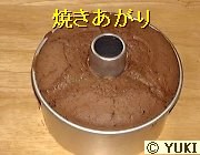 �摜