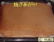 �摜
