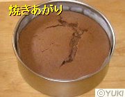�摜
