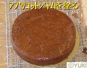 �摜