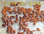 �摜