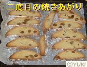 �摜
