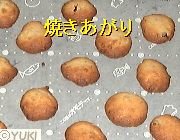 �摜