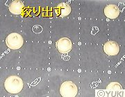 �摜