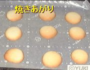 �摜