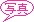 �摜����