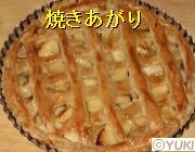 �摜