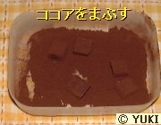 �摜