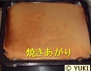 �摜
