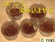 �摜