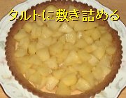 �摜