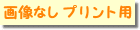 �v�����g�p