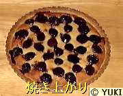 �摜