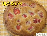 �摜