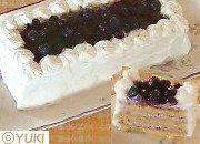 �u���[�x���[�̃��[�X�������