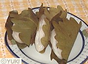 �摜