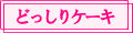 �ǂ�����P�[�L