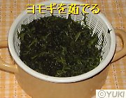 �摜