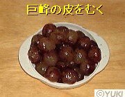 �摜