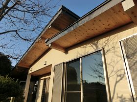 CIMG1195_280
