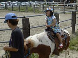 �����̎ʐ^