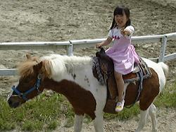 �����̎ʐ^