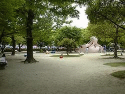 �����̎ʐ^�Q