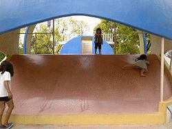 �����̎ʐ^�R