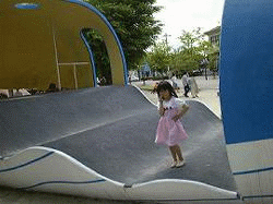 �����̎ʐ^�T