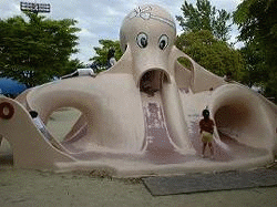 �����̎ʐ^�V