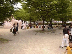 �����̎ʐ^�W