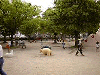 �����̎ʐ^