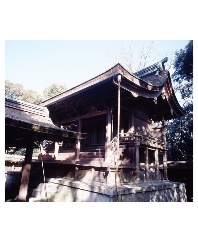 桜井神社本殿1
