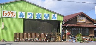 NjbNO