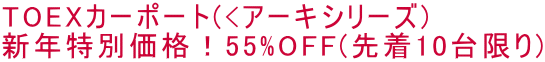 TOEXカーポート(<アーキシリーズ) 新年特別価格!55%OFF(先着10台限り)