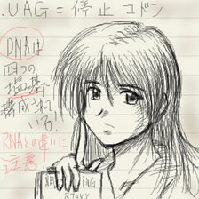 ノートへの落書き