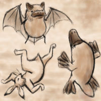 鳥獣疑画:Ar