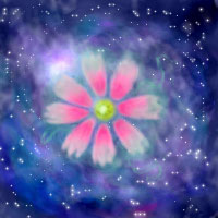 宇宙に一つだけの花:Ar