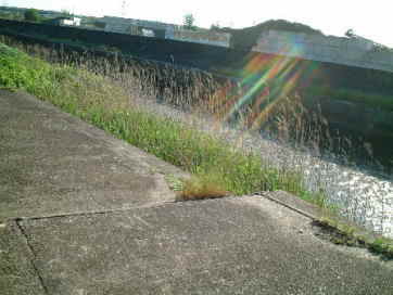 焙烙土場