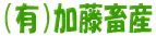 {Y