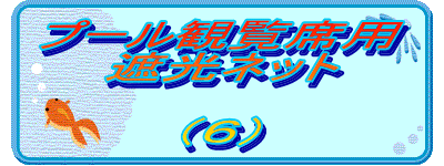 �v�[���ϗ��ȗp �Ռ��l�b�g  �i�U�j 