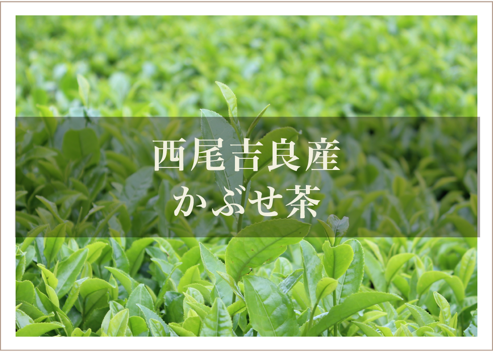 西尾吉良産かぶせ茶