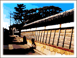 応春寺の長い築塀