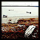 矢作川の砂浜とうち捨てられた船