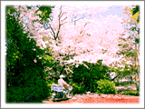 桜の前に原付バイクのオジサン